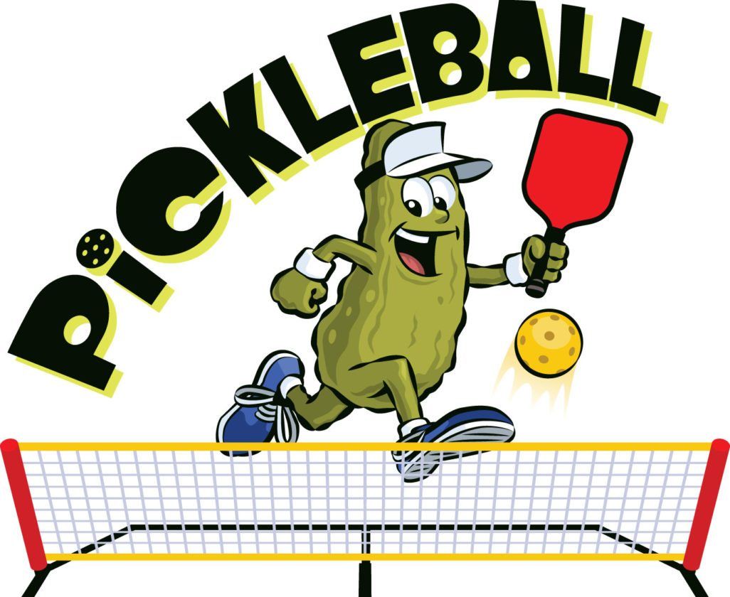 Pickleball Paddles on sale at Badminton Warehouse